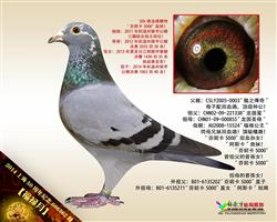 【福禄月】“芬妮卡5000”曾外孙女！