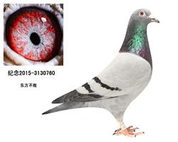 东方不败-桑杰士