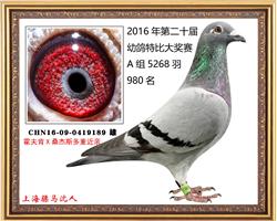 骠马9189