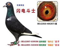 闪电斗士