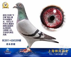 卡尔顿4700