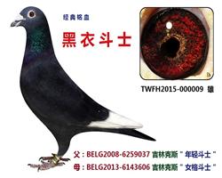 黑衣斗士