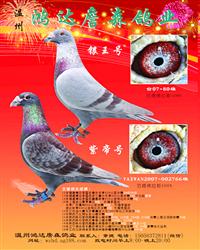 范德佛拉斯红狐