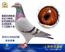 杰克丹尼直女
