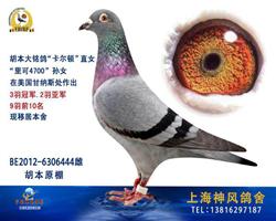 卡尔顿4700