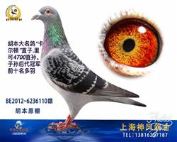 卡尔顿4700