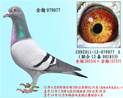 勃默德配詹森邦德007   079077