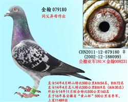 勃默德配詹森邦德007   079180