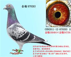 勃默德配詹森邦德007   079203