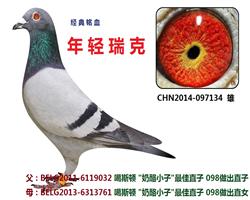 年轻瑞克