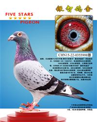 超级种雄：自身3次冠亚军 ，只供欣赏