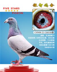 盖斯·彼得斯：油人号，11次参赛3次冠军