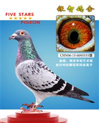 “年轻艺术家”金母回血