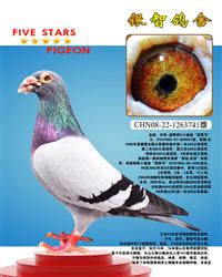 米西3次冠军：多关特比环核武器