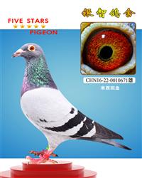 米西:特比通炮双冠军回血