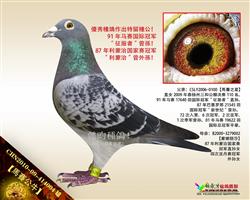 【馬賽公牛】“征服者”曾孫！