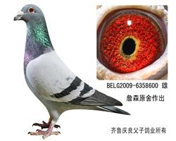 詹森原舍“喷点林克斯”