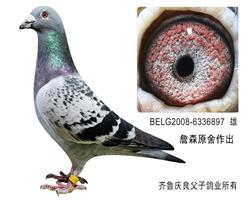 詹森原舍”詹森九月人直子”