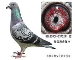 詹森原舍”麦克斯公主”