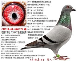 骠马1771