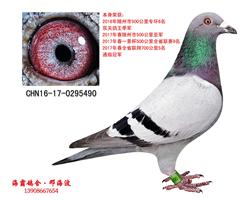 关关前十名（己售湖北）