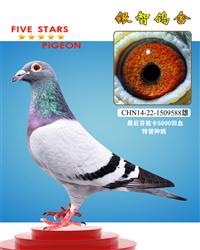 “常胜王588”，芬妮卡亲王号绝版血脉