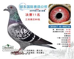 汽车赢家