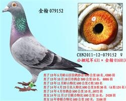 勃默德079152 已售