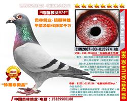 “电脑教父974”