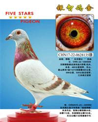 红衣骑士，速度王子，仅供欣赏