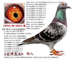 骠马4715