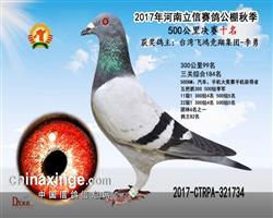 17秋河南立信公棚 决赛10位 团体6位
