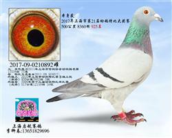 启航892（已售）