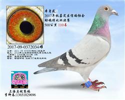 嘉定特比110名（已售）