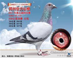 稳拿号信力32名（已售）