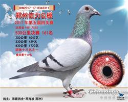 稳拿号和平公棚161名（己售）