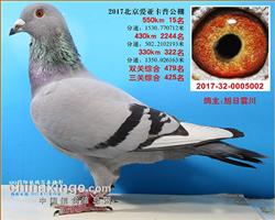 北京爱亚卡普决赛15名