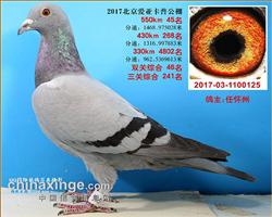 北京爱亚卡普决赛45名