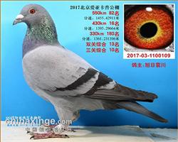 北京爱亚卡普决赛82名四关综合7名