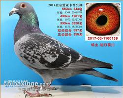 北京爱亚卡普决赛343名