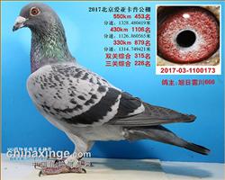 2017年北京爱亚卡普决赛453名。