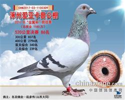 涿州卡普决赛86名。