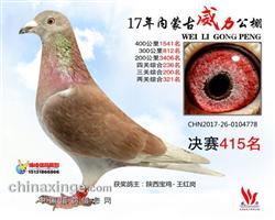 公棚入赏鸽