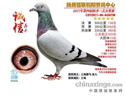 骠马6798
