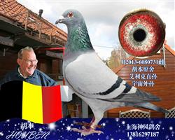 艾利克直孙