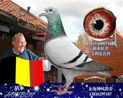 艾利克直孙