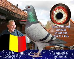 匹诺曹直孙