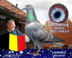 花花公子回血