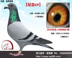 【纪念69】