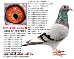 骠马3003